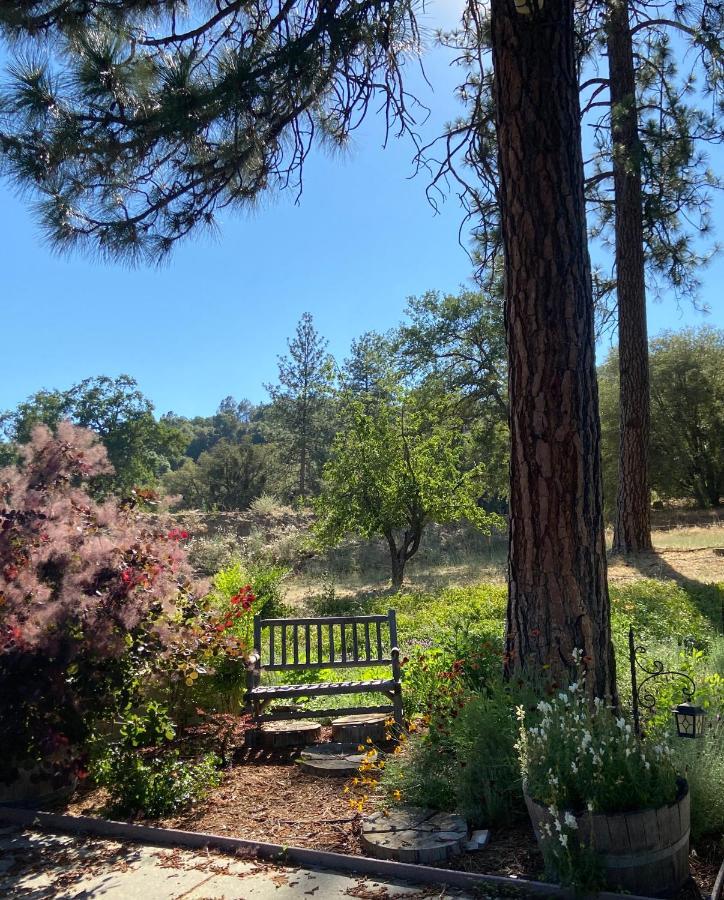 Kin House Guest Suite Oakhurst Luaran gambar